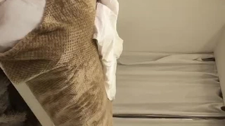 二零二三八月二十六_ye刺猬